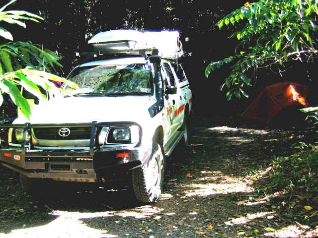 Rainforest camping