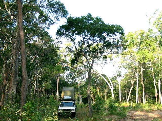Campsite, Lockhart Road