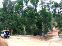 Lunch, Wenlock River, Lockhart Road