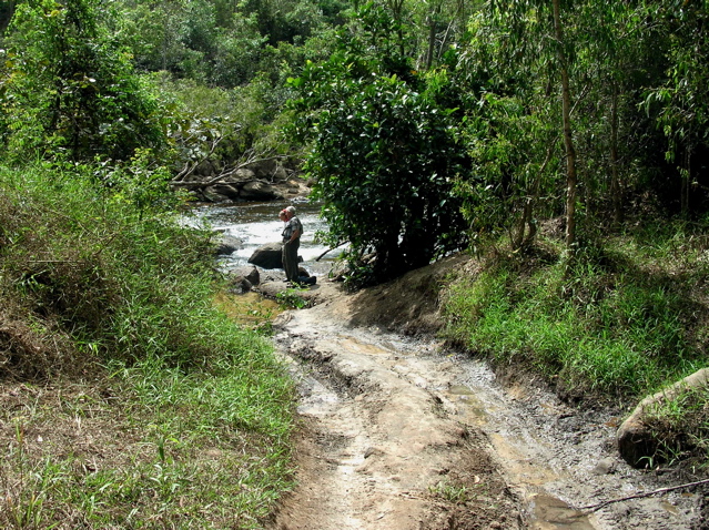 Plunge to the Pascoe