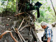 Junk exacted by Gunshot