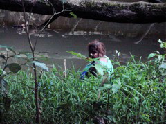 Visitor at our campsite